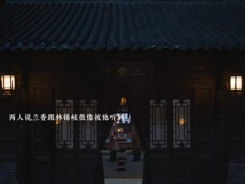 兰香如故 下属说林锦岐和兰香很像被林锦岐听到