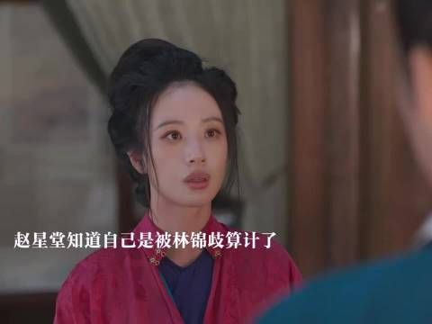 钱少泽被买通算计了赵星堂，林锦歧成功跟赵星堂和离 兰香如故