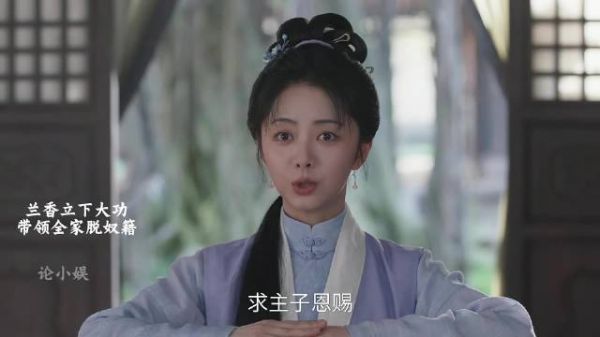 兰香脱离奴籍全款买大院,林锦岐捧兰花草告白