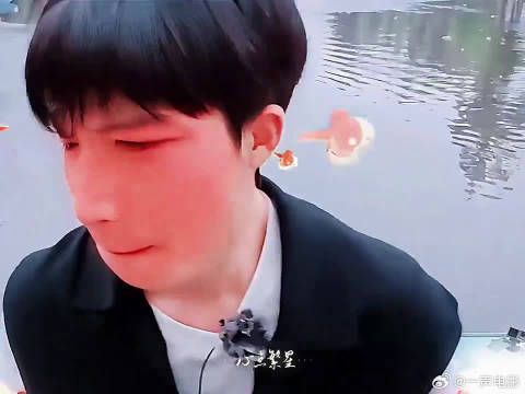 被王星越的网感圈粉,各种梗张口就来,接梗速度快到惊人