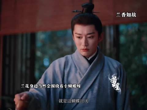 兰花身边肯定会围绕着蝴蝶呀给大爷到了 ，兰香如故