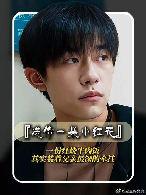 一份看似平常的红烧牛肉饭，其实装着父亲最深的牵挂和最轻柔的告别