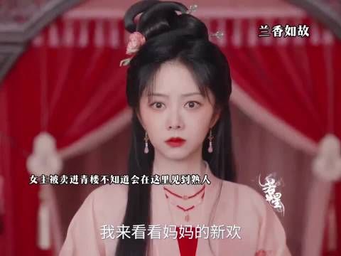被卖入青楼却遇到老熟人帮忙 ，兰香如故