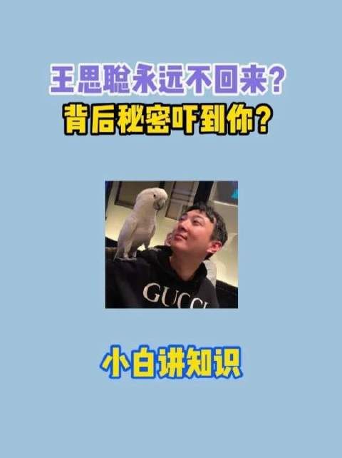 震撼揭晓！王思聪为何始终未归？隐情令人瞠目！