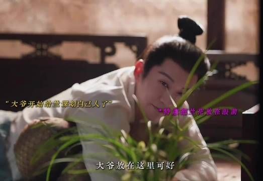 大爷开始给兰谋划自己人了 兰香如故热播金牌剪刀手