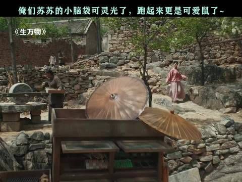 苏苏那小脑袋瓜子转得贼溜,跑起来的模样更是萌翻了,生万物 邢菲