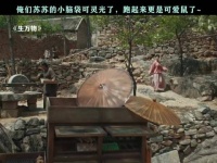 苏苏那小脑袋瓜子转得贼溜，跑起来的模样更是萌翻了，生万物 邢菲