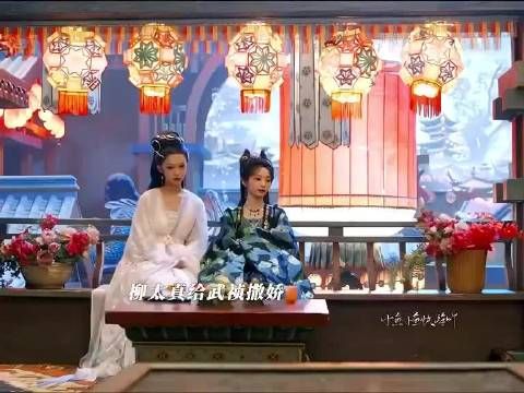 事已至此就让猫猫和蛇蛇在一起