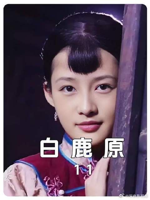 白嘉轩和鹿子霖大打出手，引起全族混战，黑娃追白狼救孩子