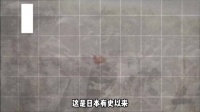从太平洋空中霸主到神风特攻机，日军的零战是如何衰落的？