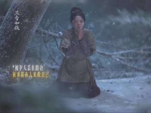 兰香如故单更后观众二胡复刻赵星棠名场面,二创热潮涌动