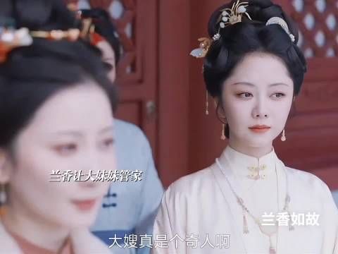 笑不活了,金陵最大的笑话疑似在京城也传开了 兰香如故