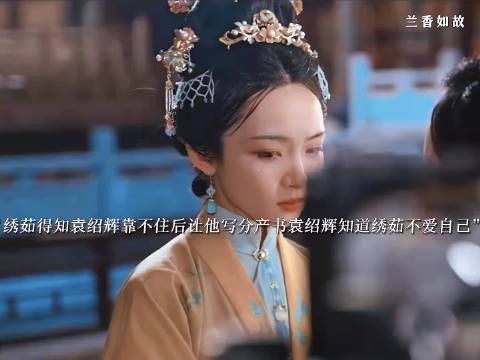 林绣茹不爱袁绍辉欲和离，签家产书后纳妾仍无子