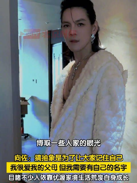 向佐回应频繁搞抽象