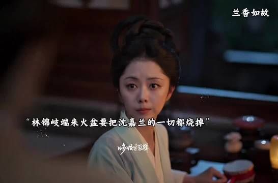 林锦岐一把火烧掉所有物证,保全许兰香的真实身份…