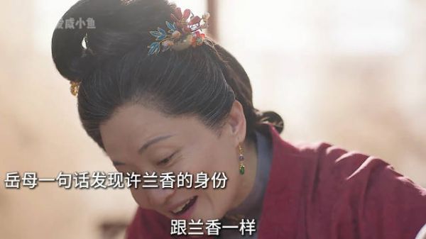 养母一句话让林锦岐怀疑许兰香真实身份