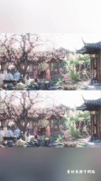 兰香如故爆火是肯下笨功夫的诚意