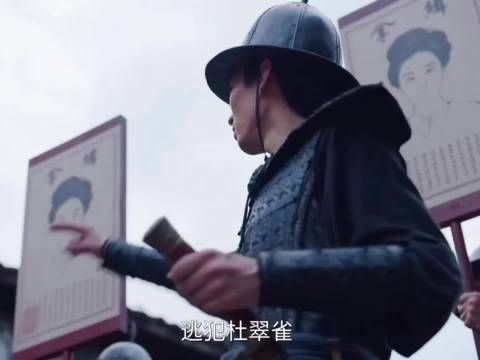 前有安小鸟，后有杜麻雀，鸟类逐渐崛起