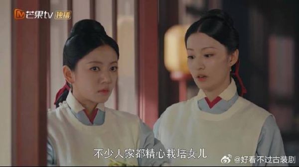 宫女太过优秀，厨艺好脑子也聪明，怎料遭人怀疑身份