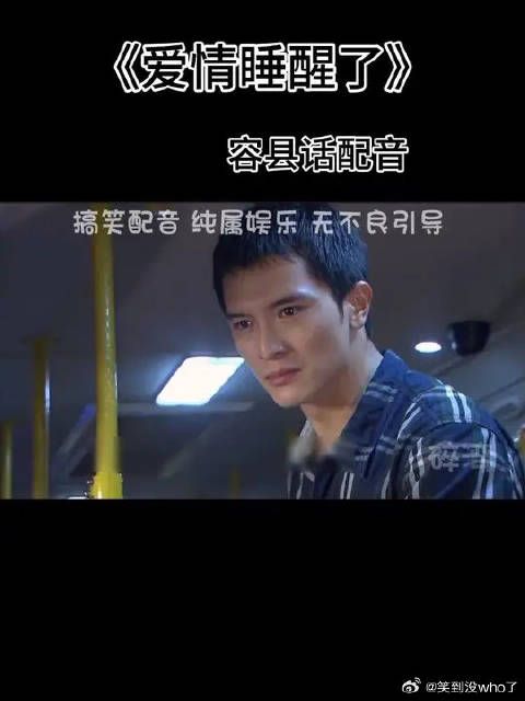 别追了，我不会回去喂猪了