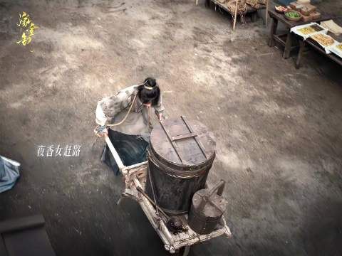 相似面容两般人生,命运两端痛感各异