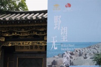 张珂：一位“中登”画家的自我悦纳与生命探寻
