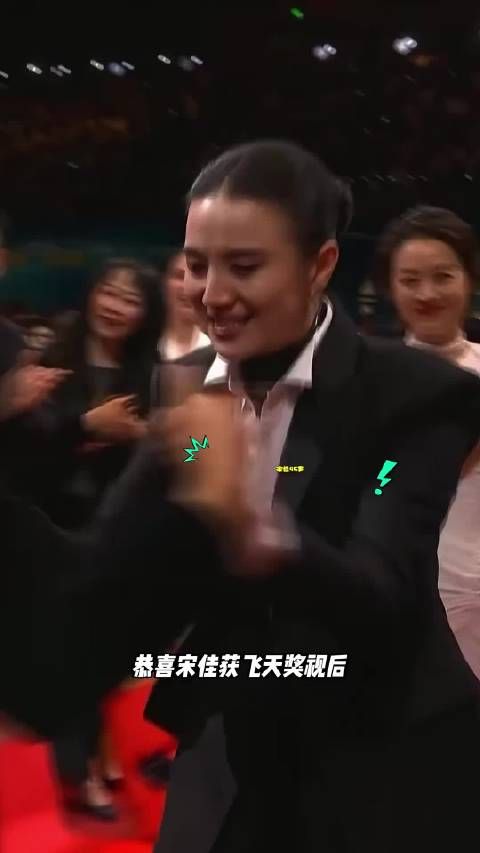 宋佳成首位同一角色大满贯女演员 宋佳成为中国影视史上第一位…