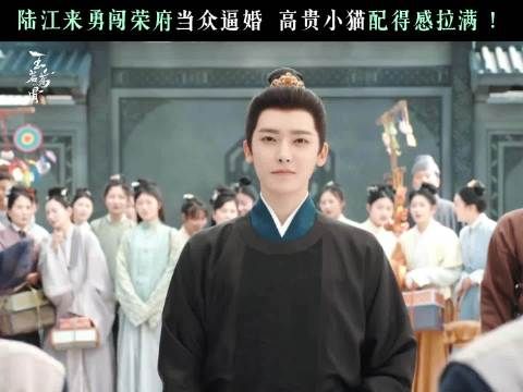 爱情三十六计,陆大人是招招都使大小姐身上了
