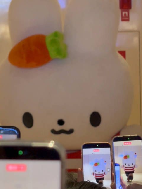 我真不行了 家兔这人气，顶流来了