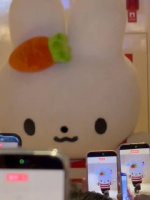 我真不行了 家兔这人气，顶流来了