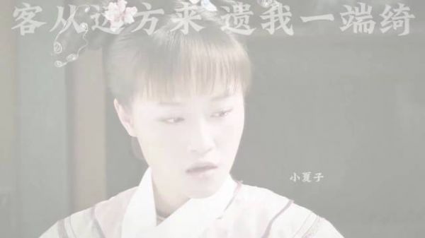 胖橘送甄嬛蜀锦玉鞋 只是这蜀锦到底是谁送的 背后大有深意
