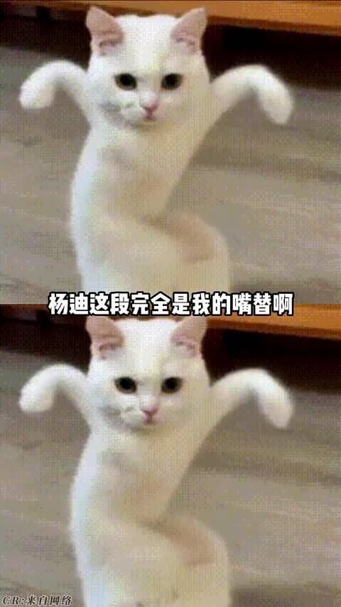 原来抢不到演唱会门票是这种感觉啊！
