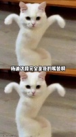 原来抢不到演唱会门票是这种感觉啊！