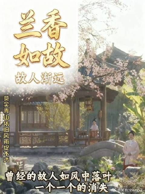兰香如故大结局，兰香离开的时候有想念林锦岐吗
