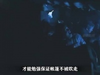 女孩隔墙扔面包，同胞饥饿之手将其扑灭