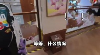 大b老师也是掌握了聊天密码了