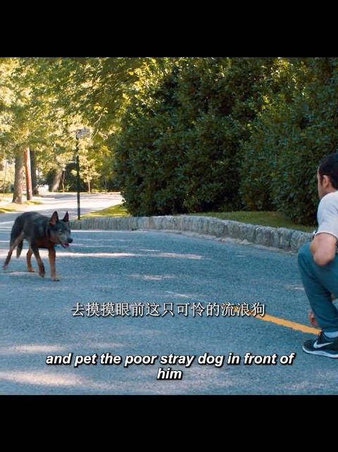 男子伸手摸流浪狗