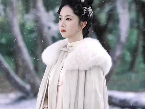 汉王谋反林锦岐临行亲兰香,芦苇荡鸭棚教火铳发烧晕倒