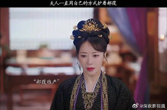 夫人一直用自己的方式护着郝葭