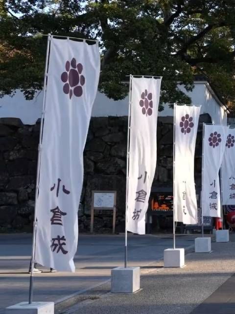 莎莎头头带动乒乓球关注度提升,5个月从识3人到全认识