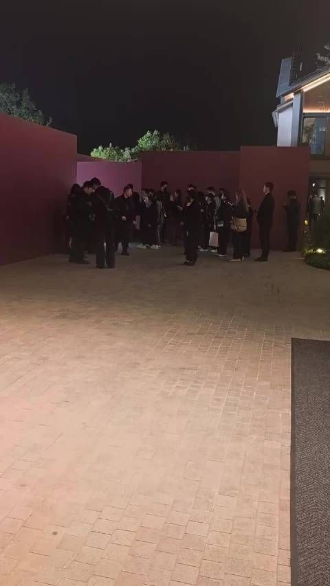 赵露思走完红毯后被冻的握起了小拳头