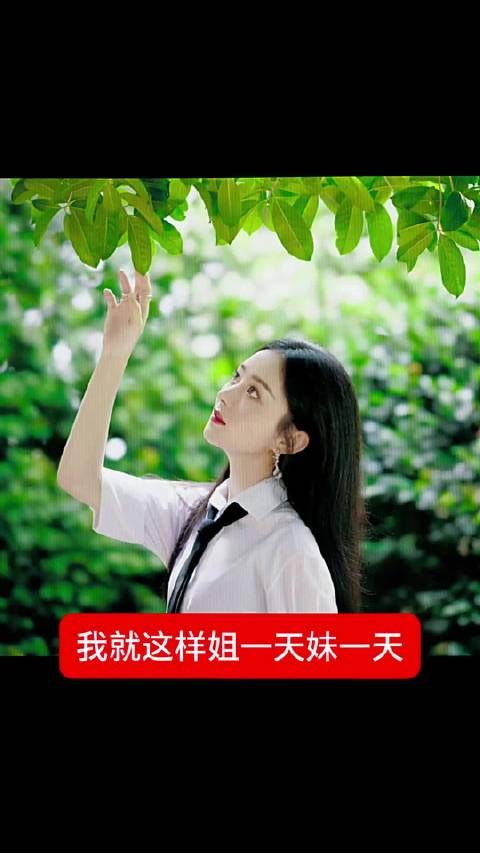 zlyzly风是自由的，海也是自由的，喜欢你也是自由的