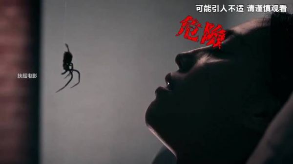 毒蛛垂落脸颊女子惊险逃生发现大楼封死