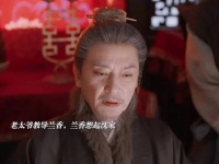 可是没人知道当初兰香就是按林家孙媳标准培 的 兰香如故
