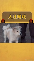 老酒馆里藏龙卧狗，老戏汪是你吗？