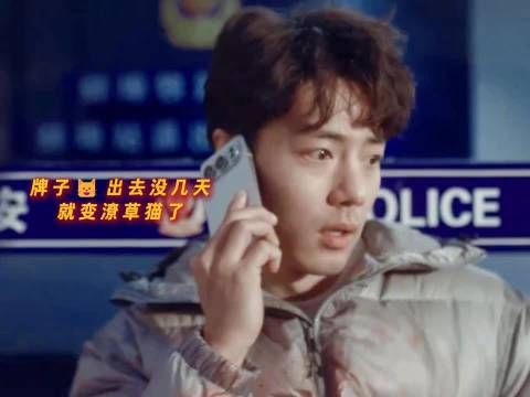 肖战小城良方刘铮亮拿大苦果,事业翻车心理创伤家里乱