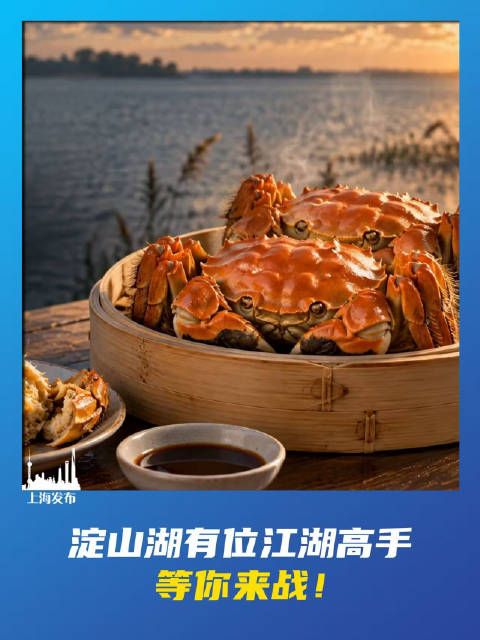 淀山湖有位江湖高手，等你来战！