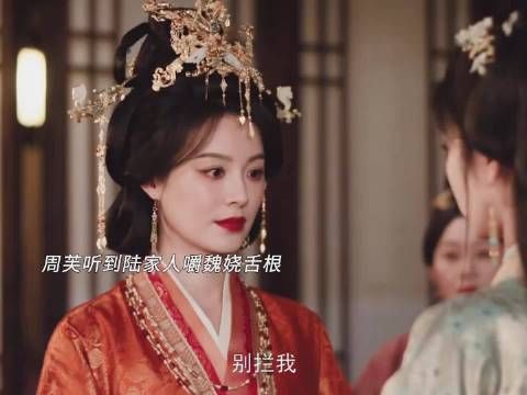 魏娆被陆家嚼舌根,丽昭仪霸气护女