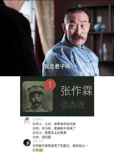 大帅这征信,放现在连一个充电宝都扫不出吧,哈哈!张作霖 李雪健