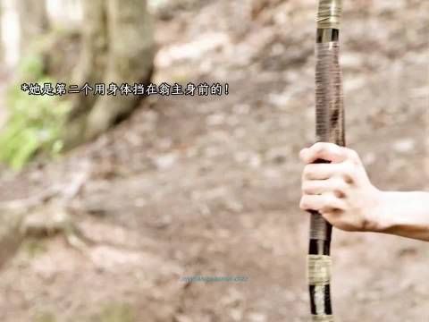 魏娆婢女阿蛮遇伏击应变能力强，武力值高